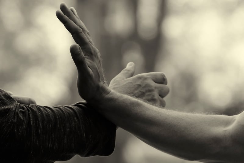 Tai Chi Practices